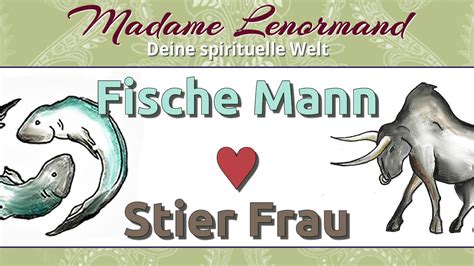 stier mann fische frau